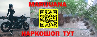 ешки Боровичи